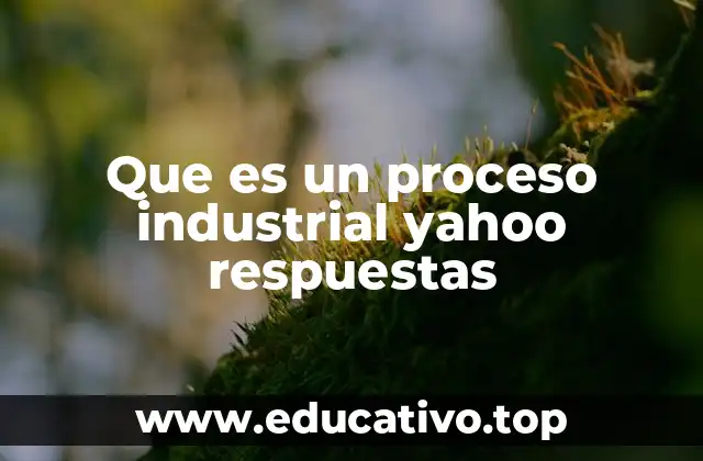 Componentes esenciales de un proceso industrial
