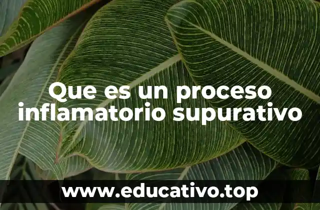 Que es un proceso inflamatorio supurativo