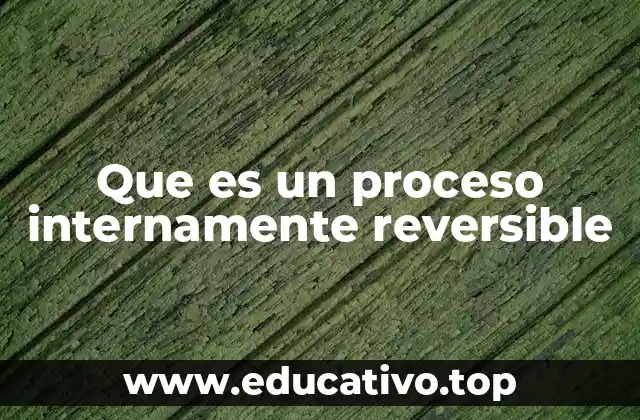 Que es un proceso internamente reversible