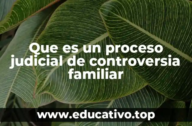 Que es un proceso judicial de controversia familiar