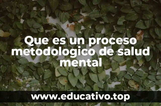 Que es un proceso metodologico de salud mental