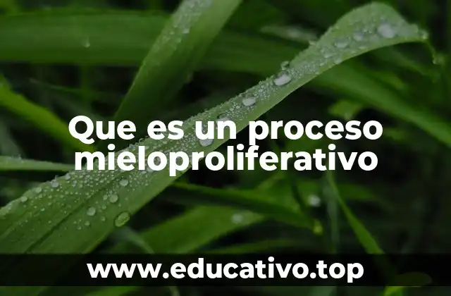 Que es un proceso mieloproliferativo