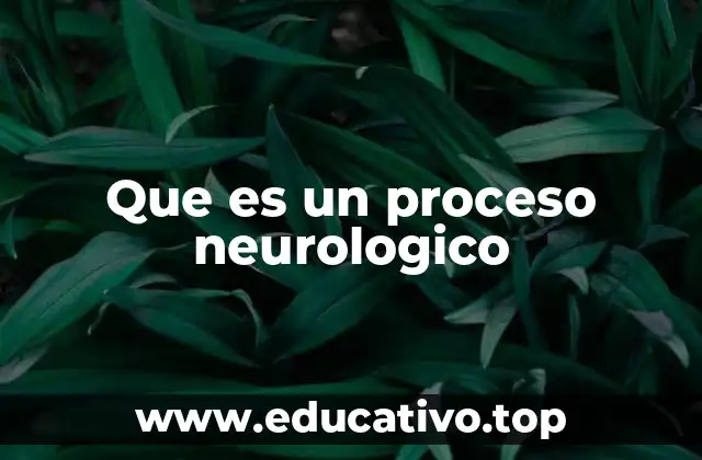Que es un proceso neurologico