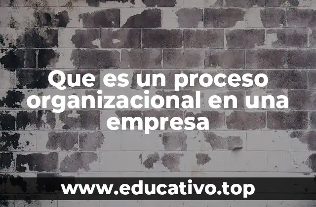 Que es un proceso organizacional en una empresa