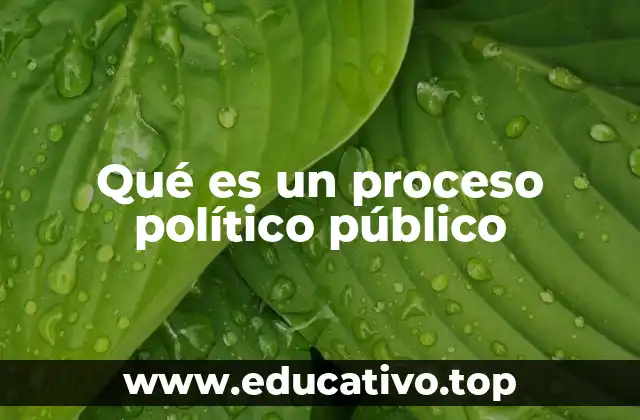 Qué es un proceso político público