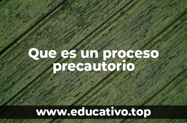 Que es un proceso precautorio