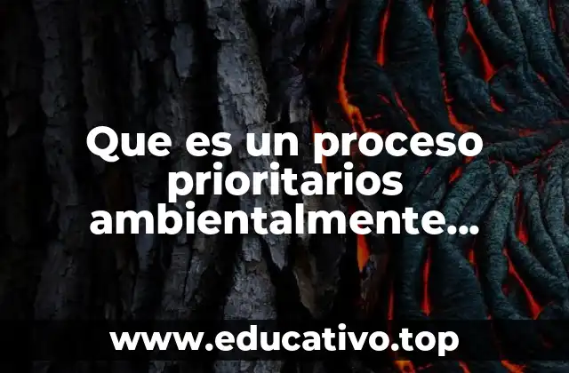 Que es un proceso prioritarios ambientalmente hablando