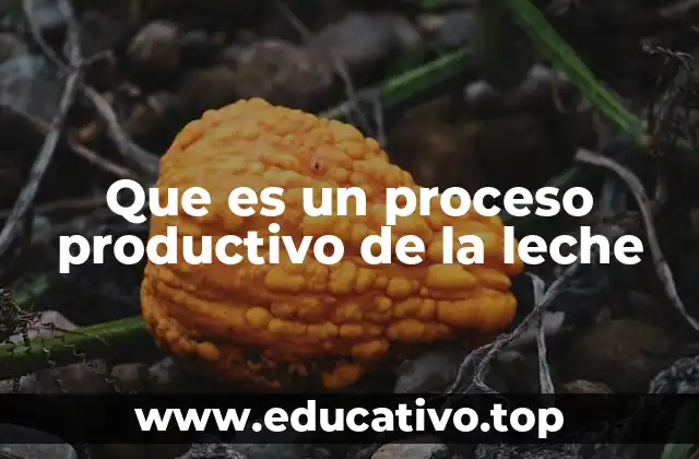 Que es un proceso productivo de la leche