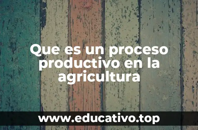 Que es un proceso productivo en la agricultura
