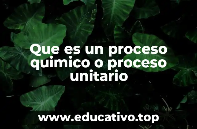 Que es un proceso quimico o proceso unitario