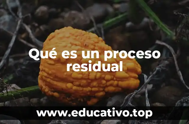 Qué es un proceso residual