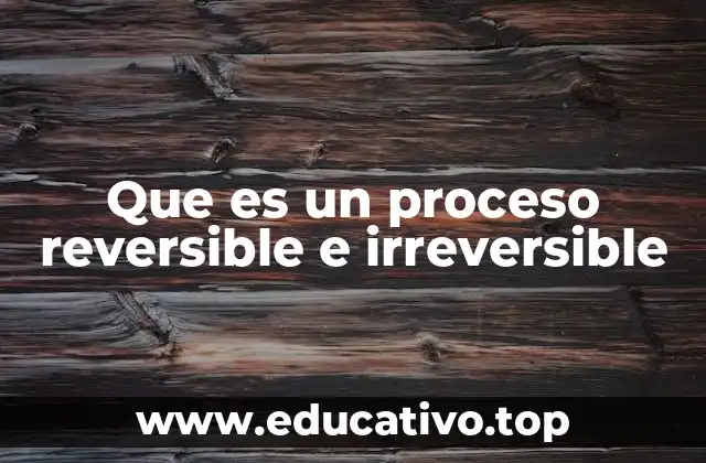 El concepto de reversibilidad en la termodinámica