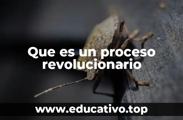 Que es un proceso revolucionario