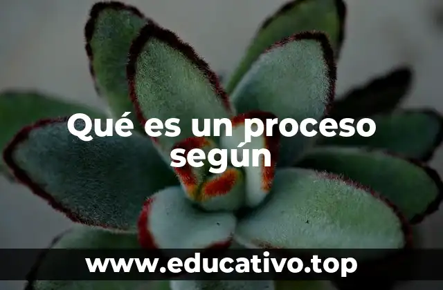 Qué es un proceso según