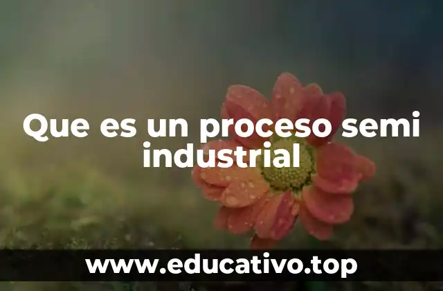 Que es un proceso semi industrial