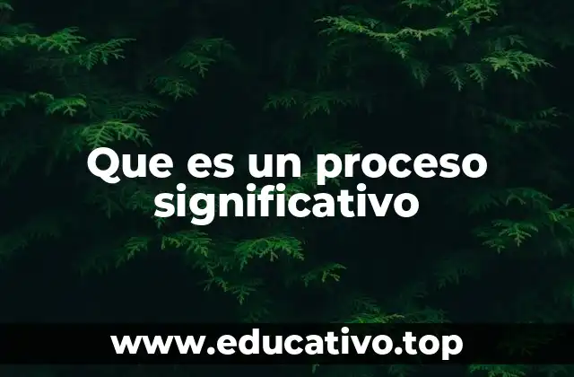 Que es un proceso significativo