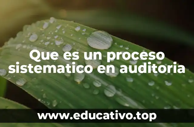 Que es un proceso sistematico en auditoria
