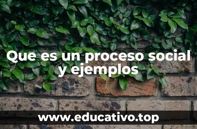 Que es un proceso social y ejemplos