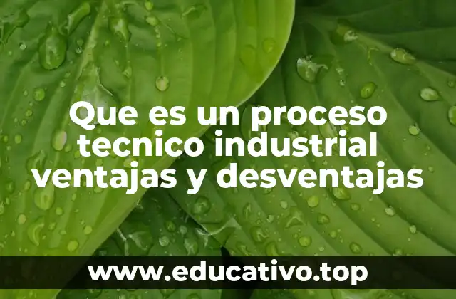 Que es un proceso tecnico industrial ventajas y desventajas
