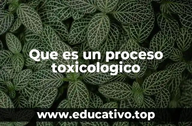 Que es un proceso toxicologico