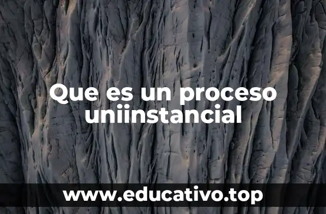 Que es un proceso uniinstancial