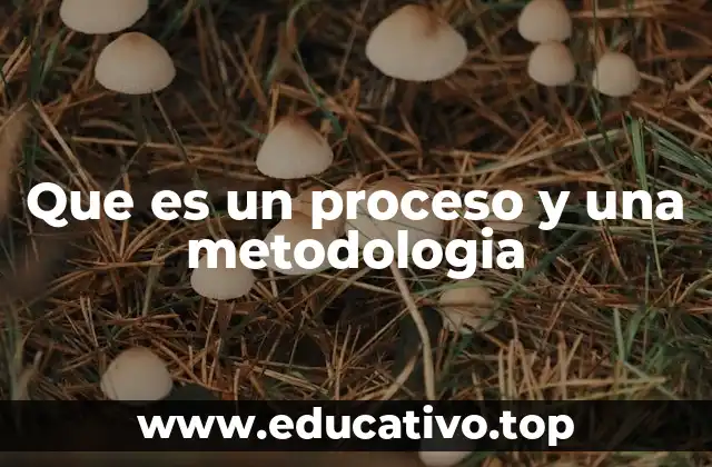 Que es un proceso y una metodologia