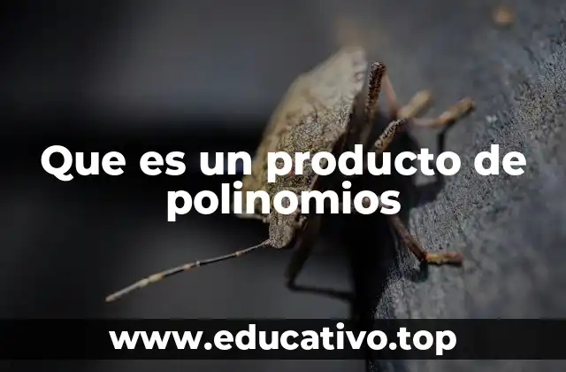 Que es un producto de polinomios