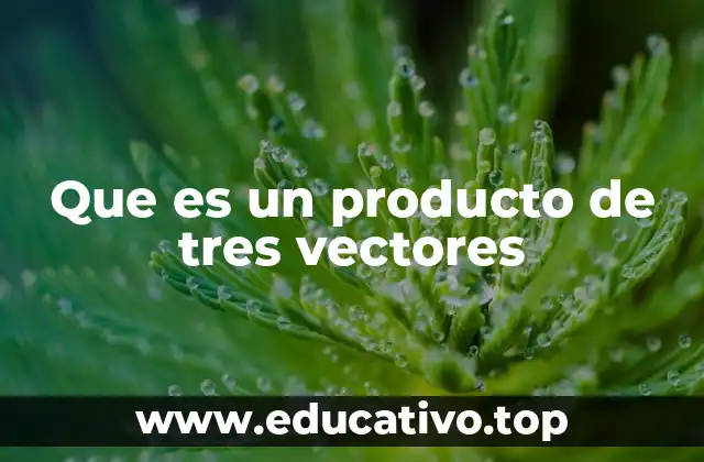 Que es un producto de tres vectores