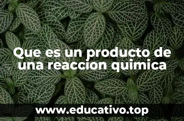 Que es un producto de una reaccion quimica
