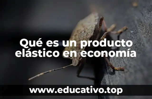 Qué es un producto elástico en economía