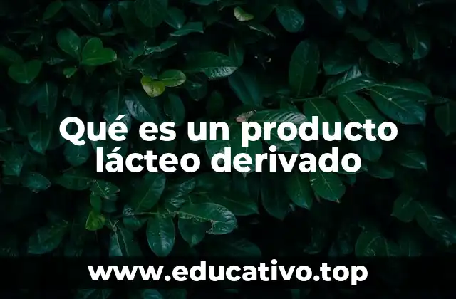 Qué es un producto lácteo derivado