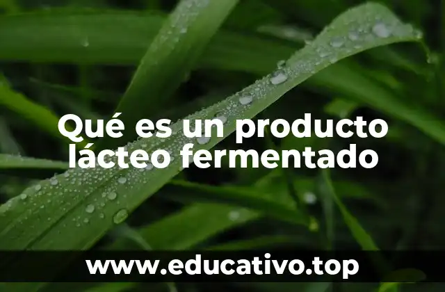 Características de los alimentos derivados de la fermentación láctica