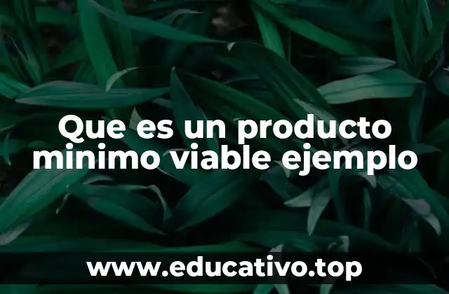 Que es un producto minimo viable ejemplo