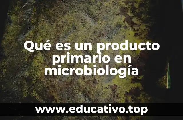 La importancia de los metabolitos en el crecimiento microbiano