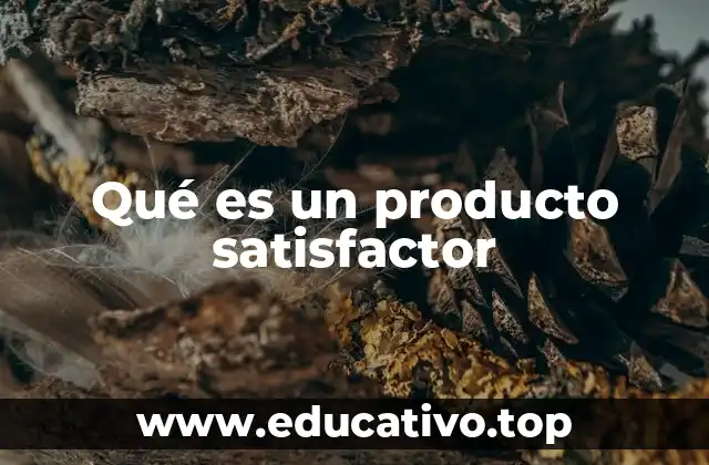 Qué es un producto satisfactor