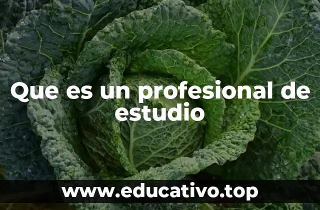 Que es un profesional de estudio