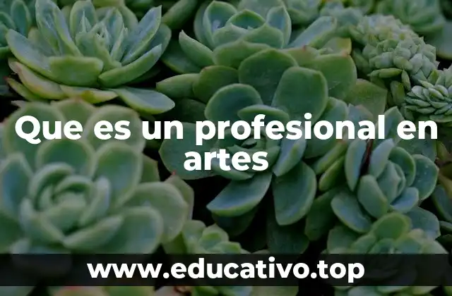 Que es un profesional en artes