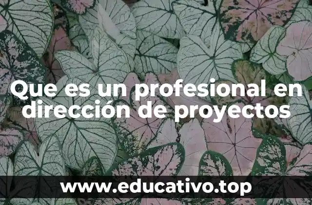 Que es un profesional en dirección de proyectos
