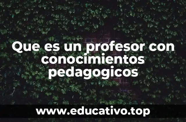 Que es un profesor con conocimientos pedagogicos