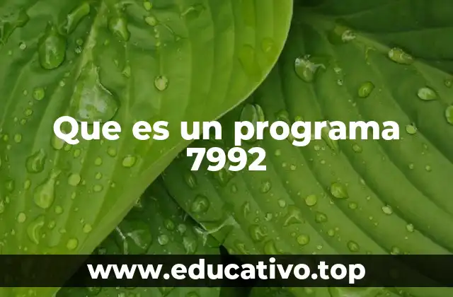 Que es un programa 7992