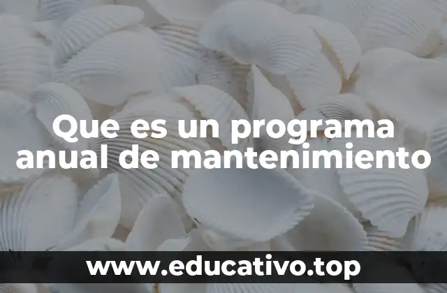 Que es un programa anual de mantenimiento