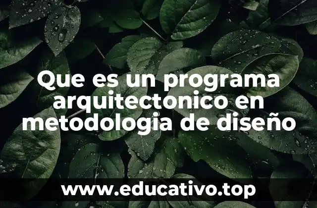 La importancia del programa en el desarrollo de proyectos arquitectónicos