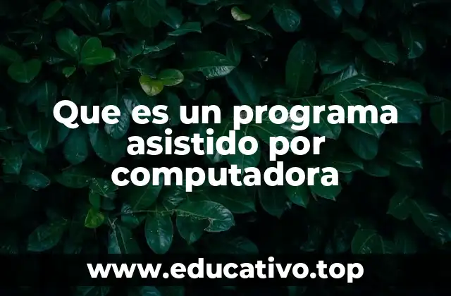 Que es un programa asistido por computadora