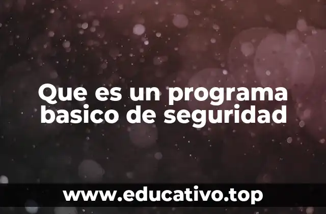 Que es un programa basico de seguridad