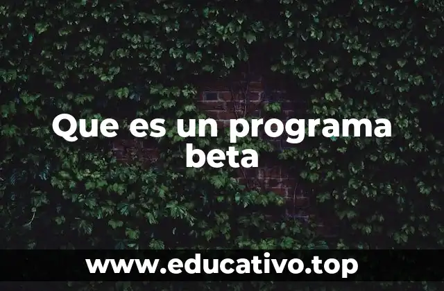Que es un programa beta