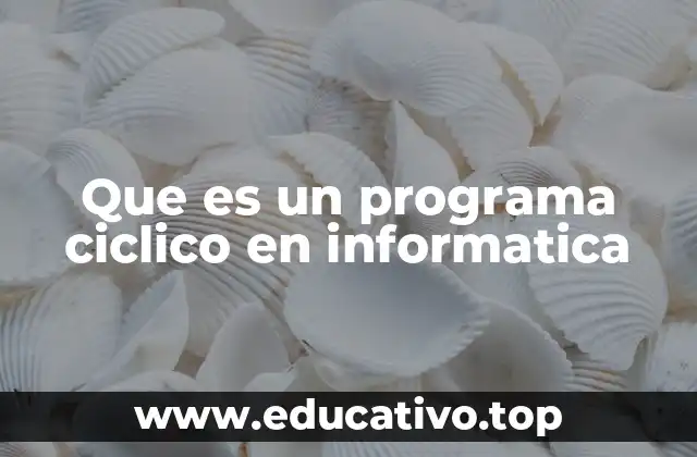Que es un programa ciclico en informatica