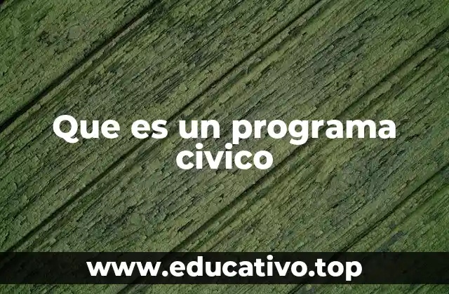 Que es un programa civico