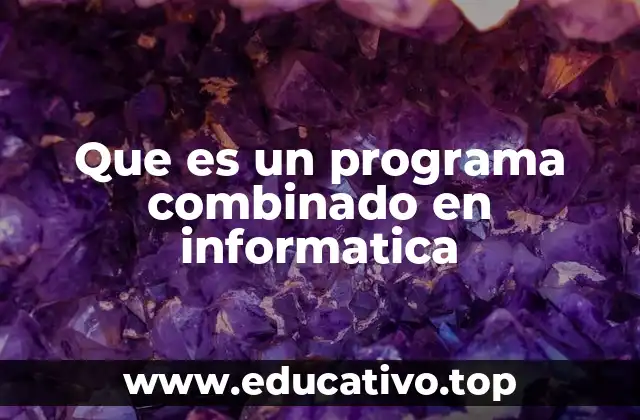 Que es un programa combinado en informatica
