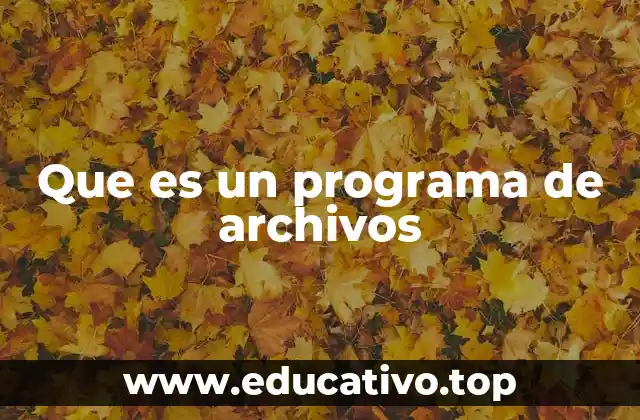 Que es un programa de archivos