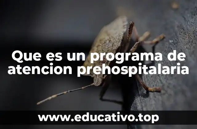 Que es un programa de atencion prehospitalaria
